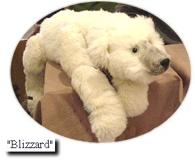 Blizzard bear, a floppy bear