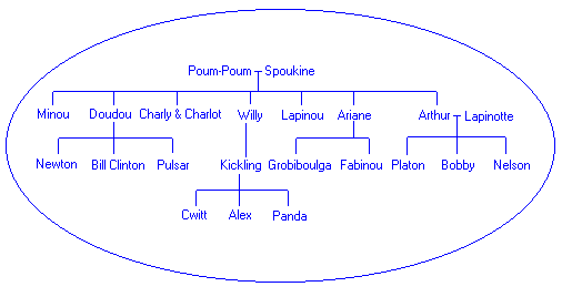 L'arbre genealogique des nounours de Fabien