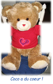 Coco, l'ours qui a du coeur