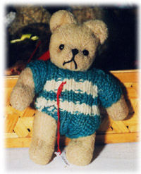 Un petit ours Blanchet tout habillé