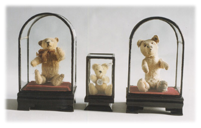 ours Steiff en petites vitrines